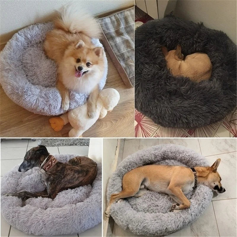 Anti Anxiety / Calming Dog Bed