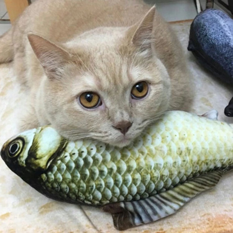 Electric Floppy Fish Cat Toy