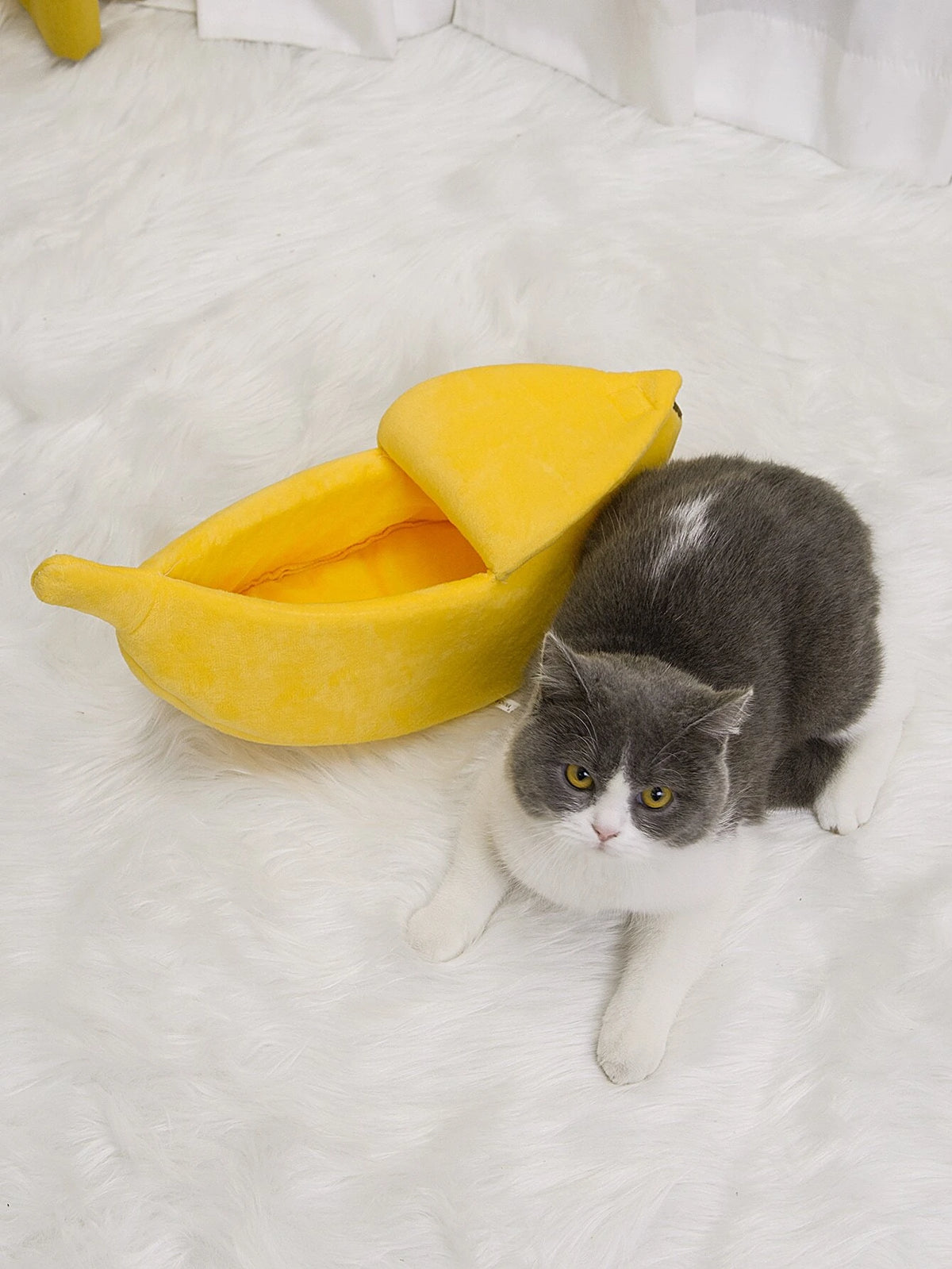 Cat Dog Banana Bed