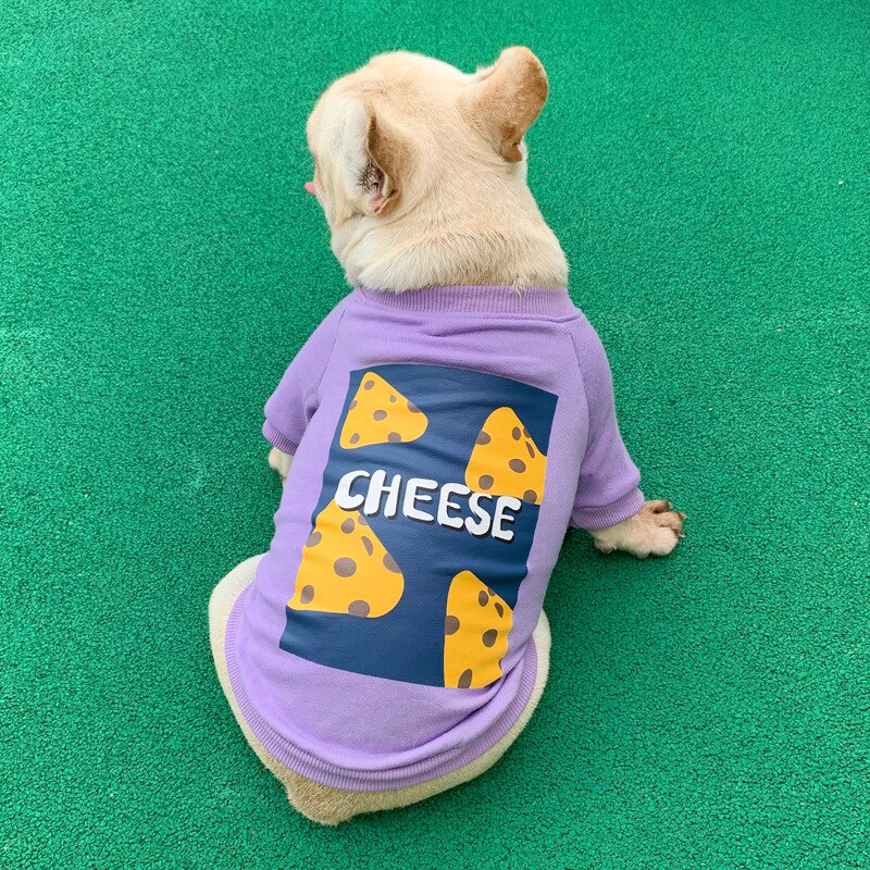 Cheese Matching Sweater for Owner and Pet Dog