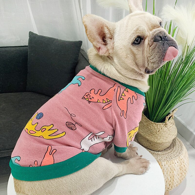 Colourful Cats Matching Sweater Owner and Pet Dog