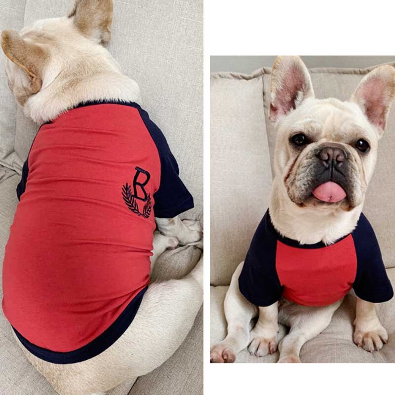 B Oversized T-Shirt Matching for Owner and Pet