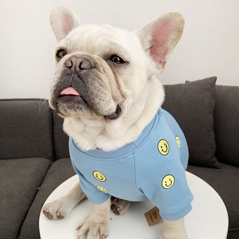 Smiley Face Matching Sweater Outfit For Owner and Pet Dog
