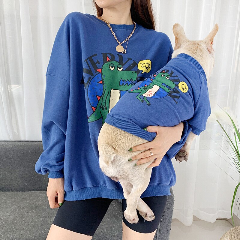 Everyday Cartoon Dinosaur Matching Sweater Clothes for Owner and Dog
