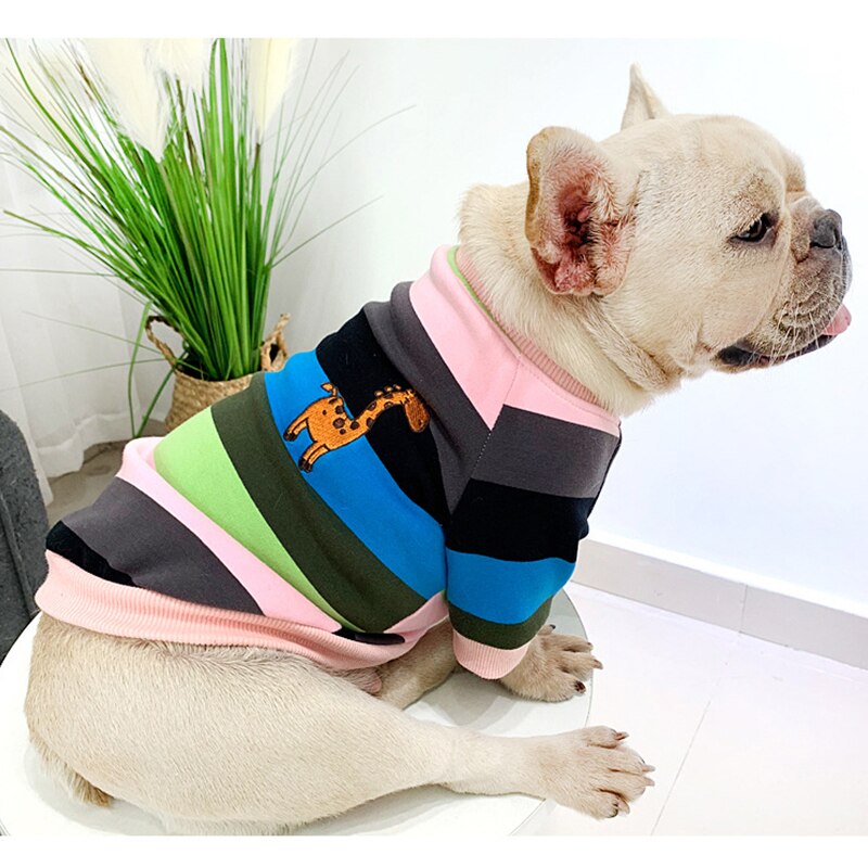 Rainbow Matching Sweater for Owner and Pet Dog