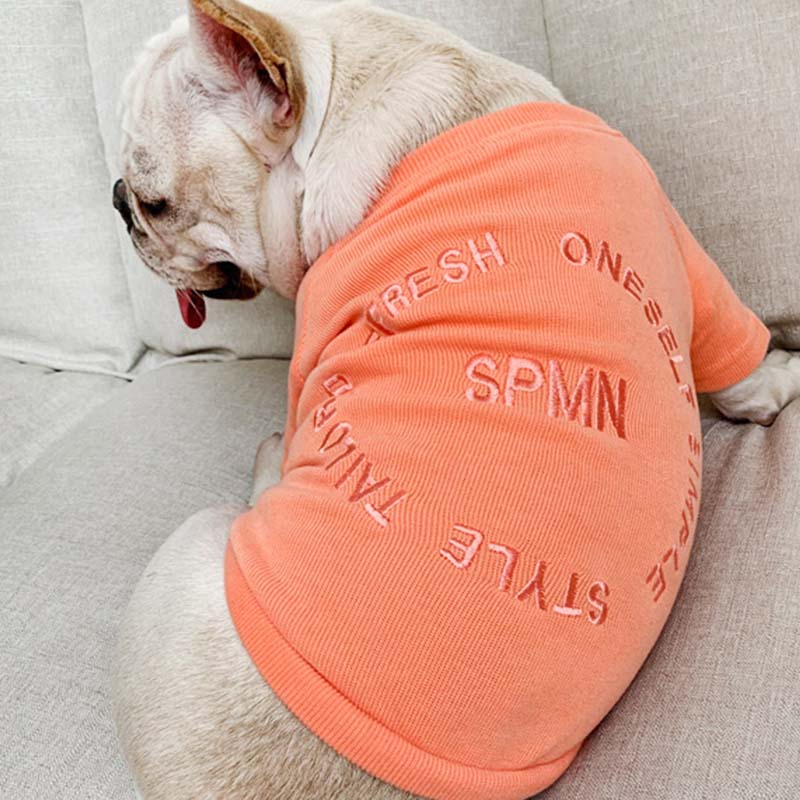 SPMN Owner and Pet Matching Sweater