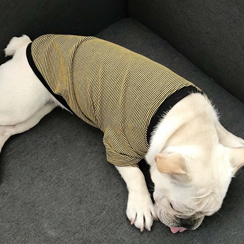 All Seasons Striped Oversized Matching T-Shirt for Owner and Pet Dog