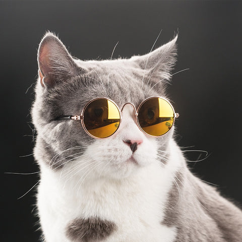 Funny Cute Cat Dog Sunglasses - Classic Retro Circular Style