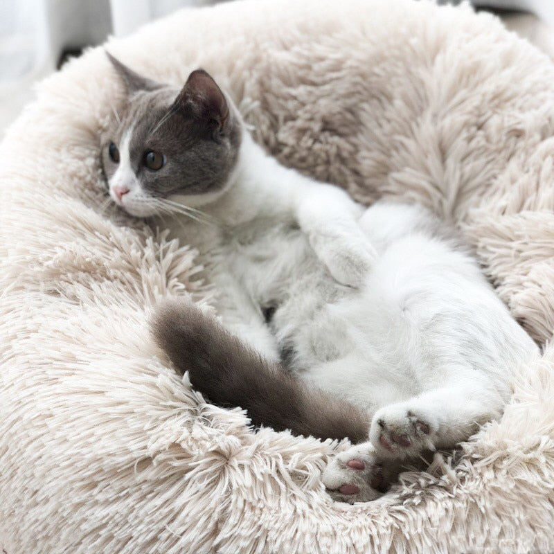 Anti Anxiety Calming Cat Bed