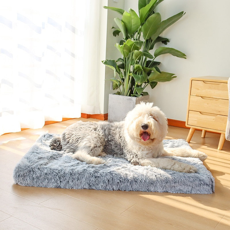 Anti Anxiety Calming Memory Foam Mattress Cat Dog Bed With Removable Cover