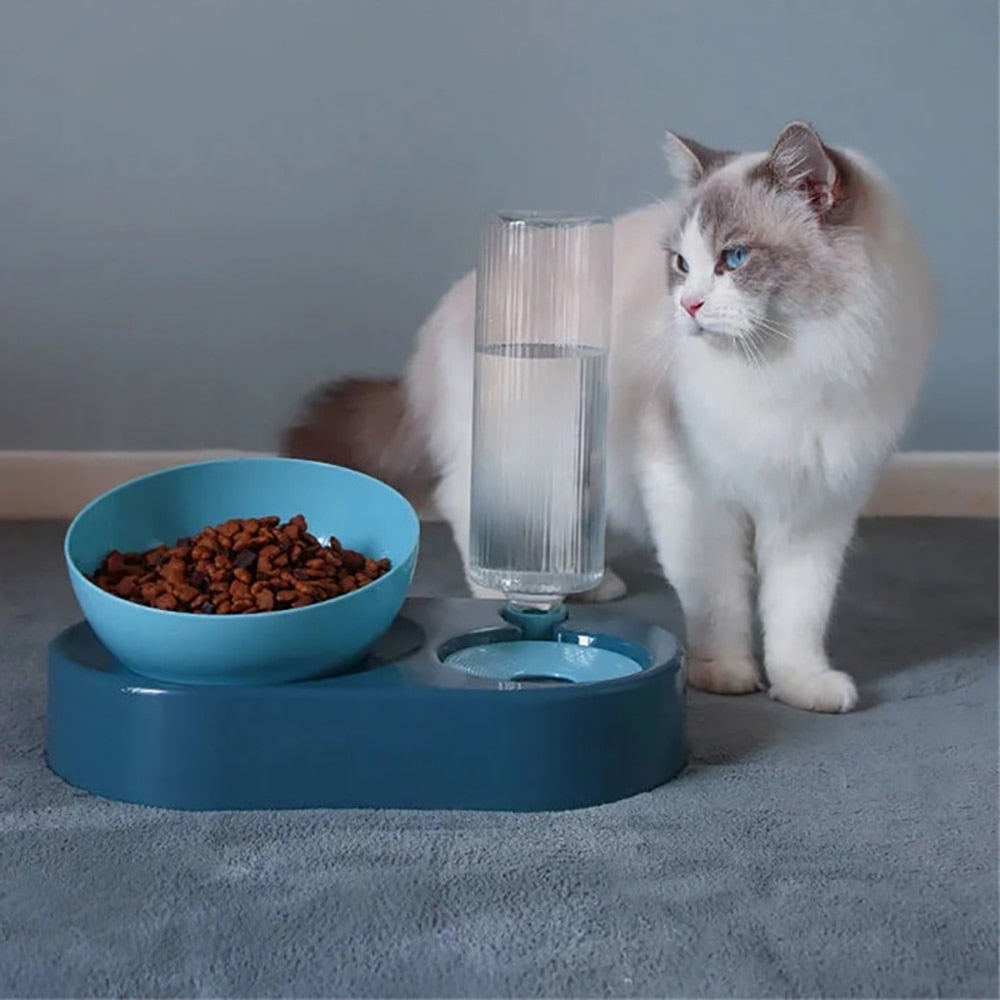 Adjusttable Position 2 In 1 Bowl with Cat Dog Automatic Water Dispenser