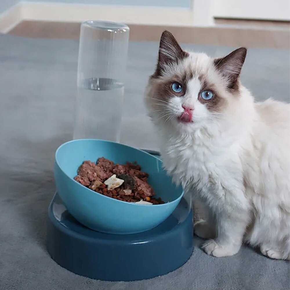 Adjusttable Position 2 In 1 Bowl with Cat Dog Automatic Water Dispenser