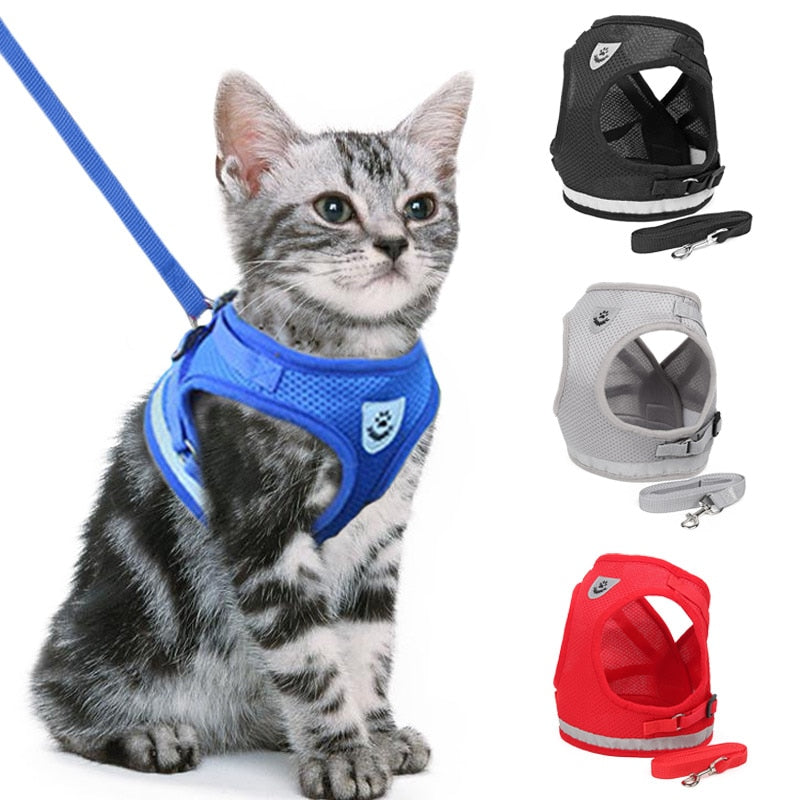 Soft Mesh and Adjustable Cat Dog Harness Leash Set