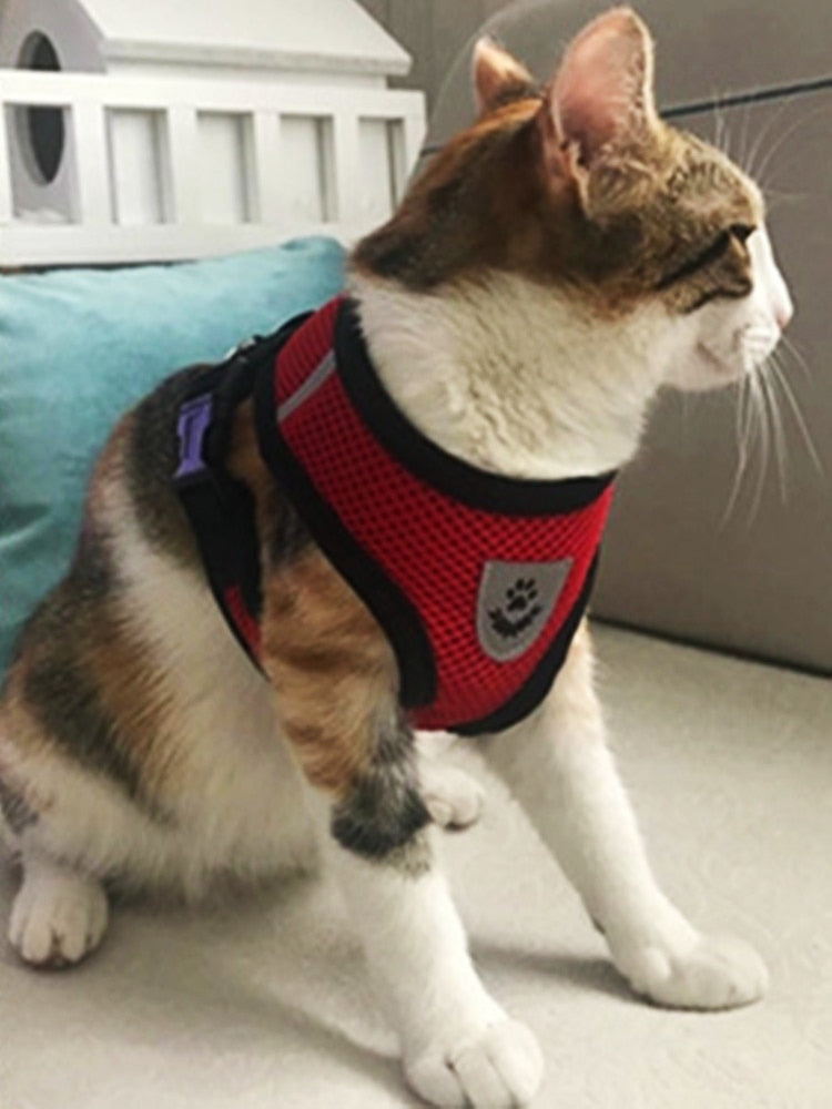 Soft Mesh and Adjustable Cat Dog Harness Leash Set