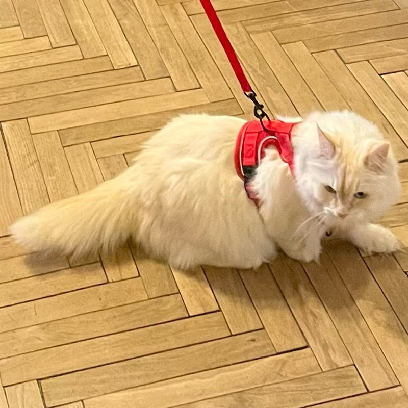 Adjustable Pet Cat Dog Harness