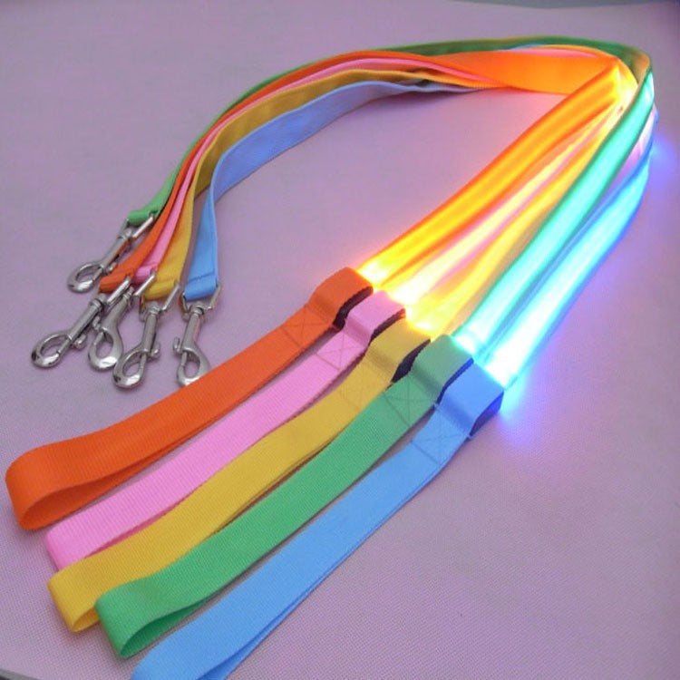 Nylon LED Dog Leash