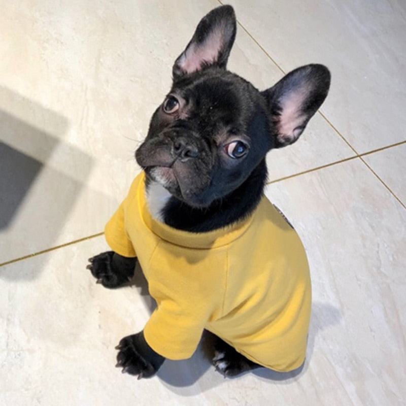 Dog Hoodie Sweater